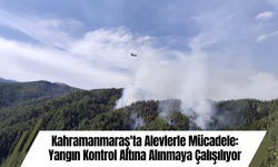Kahramanmaraş'ta Alevlerle Mücadele: Yangın Kontrol Altına Alınmaya Çalışılıyor