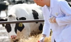 Tarımsal Girdiler Nisan'da da Hız Kesmedi