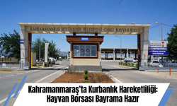 Kahramanmaraş’ta Kurbanlık Hareketliliği: Hayvan Borsası Bayrama Hazır