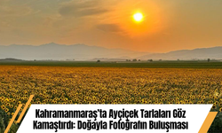 Kahramanmaraş’ta Ayçiçek Tarlaları Göz Kamaştırdı: Doğayla Fotoğrafın Buluşması