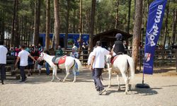 Kahramanmaraş’ta Çocuklar Midilli Atlarla Doğayla Buluştu