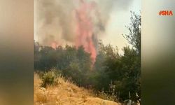 Kahramanmaraş'ta Ormanlık Alanda Yangın Alarmı