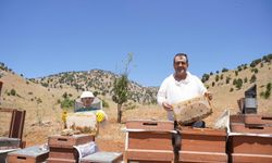 Kahramanmaraş’ta Bal Hasadı Başladı