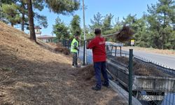 Kahramanmaraş’ta Parklar ve Mesire Alanları Temizleniyor