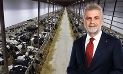 Tarım Bakanlığı Elbistan OSB İmar Planlarını Onayladı