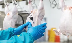 Beyaz Et Sektöründe Rekabet İhlali! 3,7 Milyar TL Ceza ve Sektörel Düzenleme