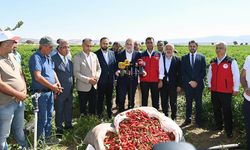 Maraş Biberi Hasadına Başkan Görgel’den Destek