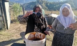 Andırın’da Tescilli Andız Pekmezi Üretimi Başladı