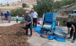Kahramanmaraş Kalekaya’da Fındık, Yeni Ekonomik Umut Kaynağı