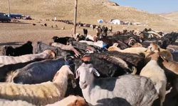 Kahramanmaraş’ta Göçerler Dönüş Yolunda