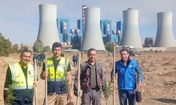Afşin-Elbistan B Termik’te 1923 Fidan Toprakla Buluştu