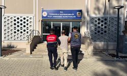 Kahramanmaraş’ta Jandarma’dan Suç ve Teröre Geçit Yok: 269 Şahıs Yakalandı