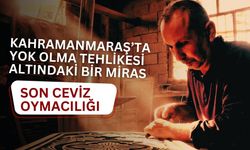 Kahramanmaraş’ta Yok Olma Tehlikesi Altındaki Bir Miras: Son Ceviz Oymacılığı