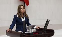 Milletvekili Zuhal Karakoç, TBMM’de Zirai Don Mağduriyetini ve Üreticinin Taleplerini Gündeme Taşıdı
