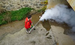 Büyükşehir, Vektör Zararlılara Karşı Kışlak İlaçlamanın Startını Verdi