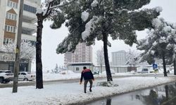 Büyükşehir Kış Mesaisini Sürdürüyor; Kırılan Dallara Anında Müdahale