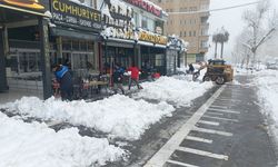 Büyükşehir, Yürüyüş Yollarını da Temizliyor