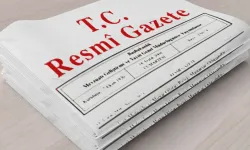 Romanlara Yönelik Yeni Eylem Planı Resmi Gazete'de