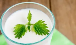 Ramazan'da Susuz Kalmayın... Süt ve Ayran Hidrasyonun Gizli Kahramanları