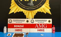 Kahramanmaraş’ta Narkotik Operasyonu: 2 Şüpheli Tutuklandı