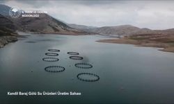 Kahramanmaraş Rekora Koşuyor: Balıkçılık Alanında Üretim 17 Bin Tona Ulaştı