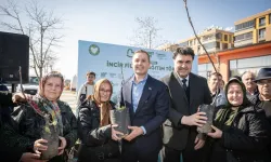 Üreticilere İncir Fidanı Desteği