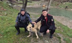 Kahramanmaraş'ta Nefes Kesen Anlar! Suyun Ortasında Kalan Köpeği Böyle Kurtardılar