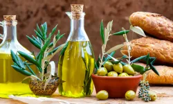 Zeytinyağında Çıkış Arayışı... Hedef Doğru Rekolte ve AB Kotası