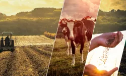 17,4 milyar TL'lik Tarımsal Destek Çiftçilerin Hesabında