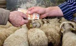 2026 Yılı Kurban Hizmetleri Tebliği 'Resmi'leşti