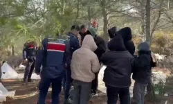 24 İlde Kaçak Göçmen Operasyonu
