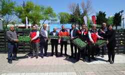 Büyükşehir’den Üreticiye 650 Bin Hibe Biber Fidesi