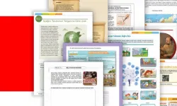 MEB 'Öğrenme Etkinlikleri Seti'nin İkincisini Yayımladı