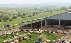 Çiftçilere 5,48 milyar TL Tarımsal Destek Ödemeler Hesaplarda