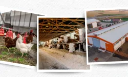 IPARD III Sonuçları Açıklandı... 218 Projeye 2,5 Milyar TL Hibe