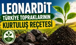 Türkiye Tarımında Yeni Umut... Leonardit ile Toprağın Hafızası Canlanıyor