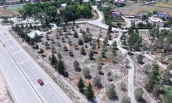 Büyükşehir’den Elbistan’daki 15 Mahalle Mezarlığına Kapsamlı Hizmet