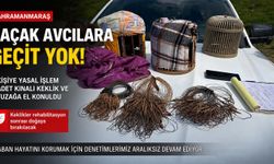 Kahramanmaraş’ta Doğa Katliamına İzin Yok: Kaçak Avcılar Yakalandı