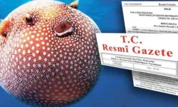 Balon Balığı Avcılığı Desteği Artırıldı: Zehirli Türe 35 TL Ödenecek