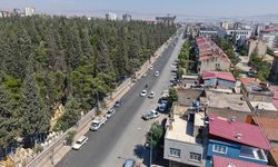 Büyükşehir, Şeyh Adil ve Girne Caddelerini Sıcak Asfaltla Yeniledi