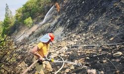 Kahramanmaraş Ahırdağ'daki Orman Yangını kontrol Altına Alındı