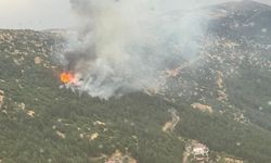 Kahramanmaraş’ta Peş Peşe Çıkan 11 Orman Ve Ziraat Yangını Korkuttu