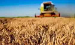 Kırsala 12,5 Milyar Liralık Dev Hibe Desteği