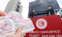 Ticaret Bakanlığı'ndan DTÖ Raporu Açıklaması: Türkiye'nin Tazminat Borcu Bulunmuyor