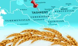 Türkiye Un ihracatında 12. Şampiyonluk Hedefini Koydu