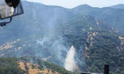 Kahramanmaraş’ta İki Orman Yangını Söndürüldü