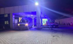 Kahramanmaraş'ta Elektrik Akımına Kapılan Kadın Öldü