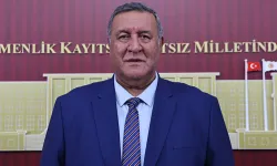 CHP'li Gürer: Çiftçinin Mutlu Olacağı Alım Fiyatları Oluşturulmalı