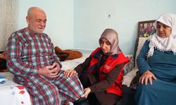 Büyükşehir’den Ulu Çınarların Hayatını Kolaylaştıran Yatırımlarını Artırarak Sürdürüyor