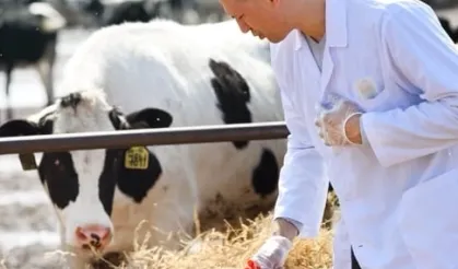 Tarımsal Girdi Mart'ta Yükseldi... Veteriner Harcamaları Revaçta